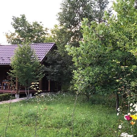 Villa Галіція Byalobereska Exterior foto