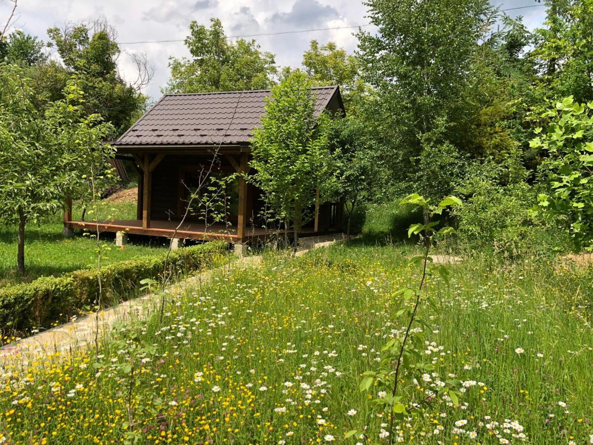 Villa Галіція Byalobereska Exterior foto