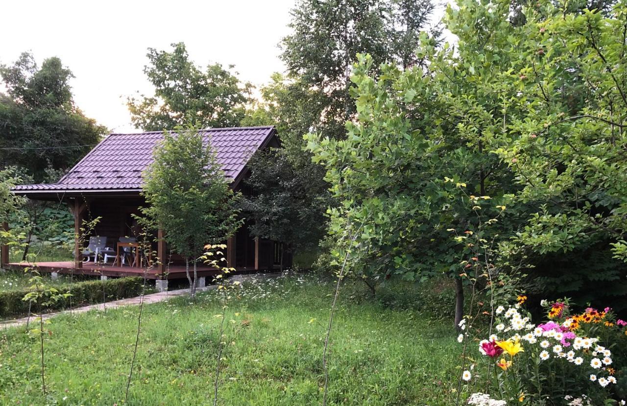 Villa Галіція Byalobereska Exterior foto