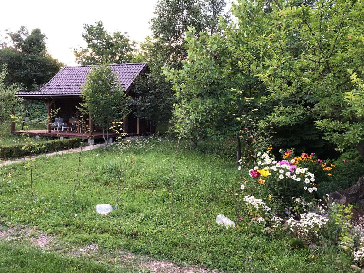 Villa Галіція Byalobereska Exterior foto